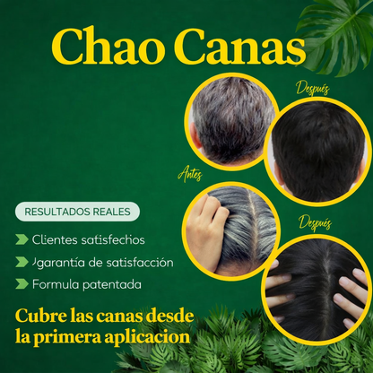 Kit chao canas shampoo