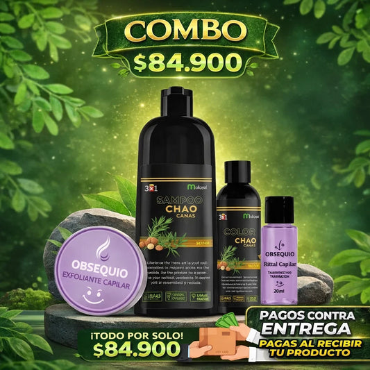 Kit chao canas shampoo